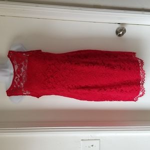 Adrianna Papell Lace Dress